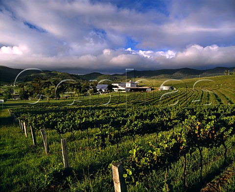 Lindemans Ben Ean winery and vineyards Pokolbin New South Wales   Australia    Lower Hunter Valley