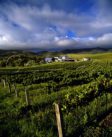 Lindemans Ben Ean winery and vineyards Pokolbin   New South Wales Australia Lower Hunter Valley