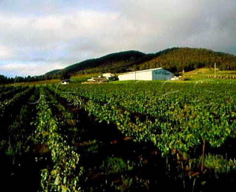 McWilliams Mount Pleasant Winery Pokolbin   New South Wales Australia  Lower Hunter Valley