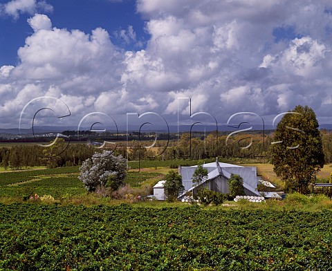 Lakes Folly winery and vineyards Pokolbin New South Wales Australia    Lower Hunter Valley