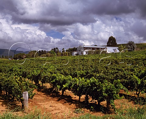 Lakes Folly winery and vineyard Pokolbin   New South Wales Australia Lower Hunter Valley
