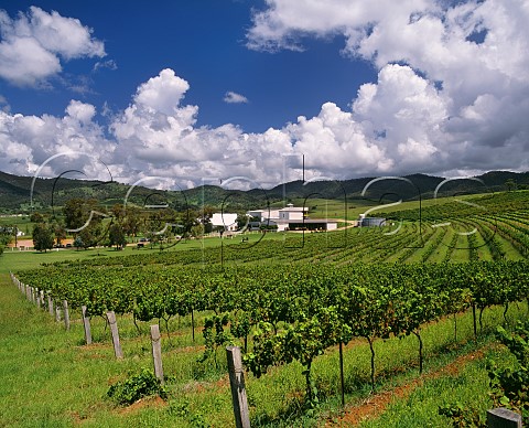 Lindemans Ben Ean winery and vineyards  Pokolbin New South Wales Australia  Lower Hunter Valley
