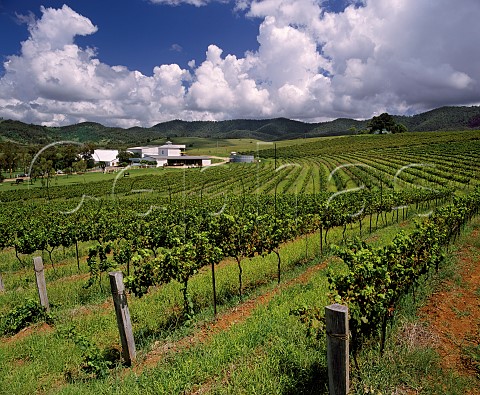 Lindemans Ben Ean winery and vineyards Pokolbin New South Wales   Australia  Lower Hunter Valley