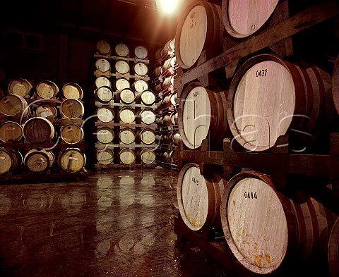 Barrel room of Hope Estate winery Pokolbin New South Wales Australia   Lower Hunter Valley