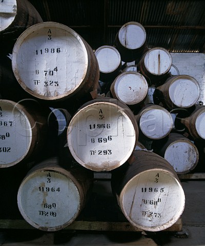 Barrels in the Brandy bond cellar of Mildara Merbein Victoria Australia  Murray Darling