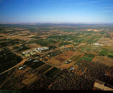 BRL Hardy winery amidst vineyards and citrus groves   at Berri South Australia  Riverland