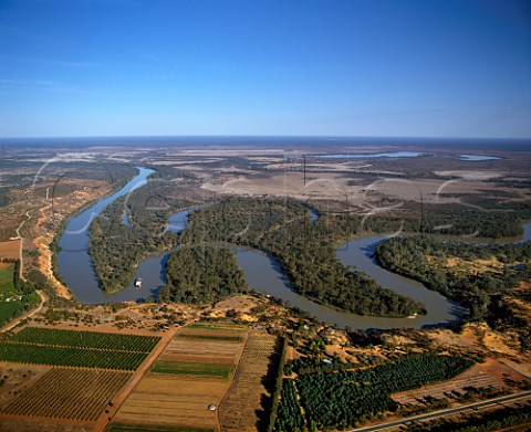 The meanderings of the Murray River with the Murray   Princess paddlesteamer   Citrus groves and   vineyards in foreground   Renmark South Australia  Riverland