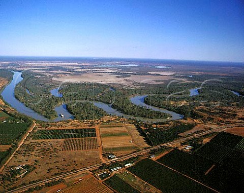 Citrus groves and vineyards by the meandering Murray   River   Near Renmark South Australia  Riverland