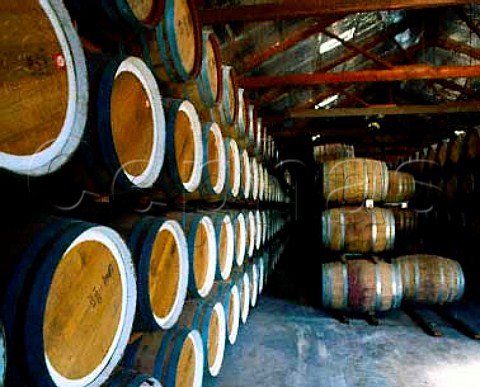 One of the barrel rooms at Orlandos Rowland Flat   Winery South Australia   Barossa Valley