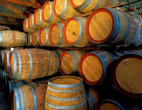 One of the barrel rooms at Orlandos Rowland Flat   winery Barossa Valley South Australia