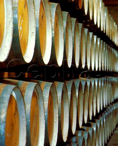 Rows of barrels in the Orlando winery at Rowland   Flat South Australia   Barossa Valley