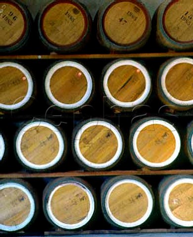Rows of barrels at Orlandos Rowland Flat Winery  South Australia   Barossa Valley