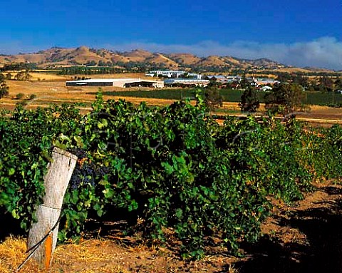 Orlandos Rowland Flat winery Barossa Valley SA