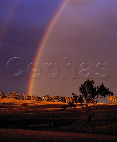 Rainbow over Mountadam Estate on the   High Eden Ridge in the South Mount Lofty Ranges  South Australia    Eden Valley