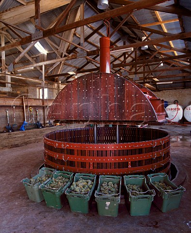 Crates of Chardonnay grapes by basket press in Padthaway Estate winery The press was specially made to traditional French design for their sparkling wines Padthaway South Australia