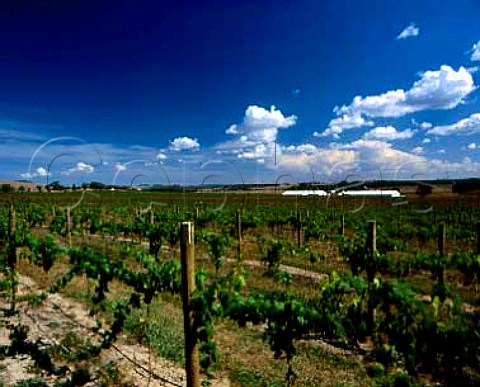 St Huberts Winery and vineyards Coldstream   Victoria Australia    Yarra Valley