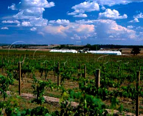 St Huberts Winery and vineyards Coldstream   Victoria Australia     Yarra Valley