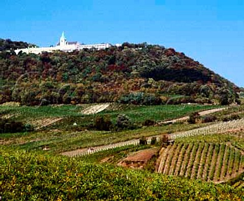 Vineyards of Grinzing in the northern suburbs of   Vienna with Kahlenberg on the hill