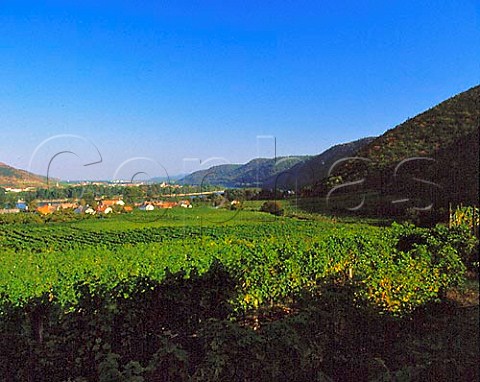 View eastwards along the Danube valley from   Rossatzbach Niedersterreich Austria   Wachau