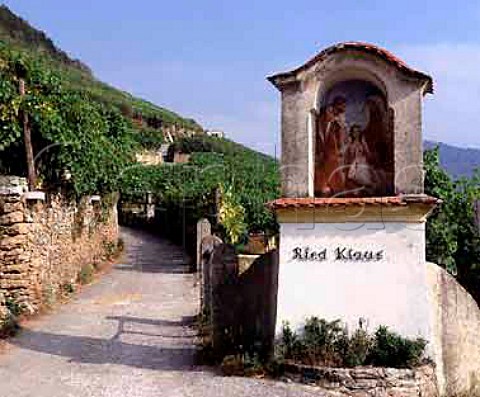 Ried Klaus ried  vineyard above the River Danube   near the village of Weissenkirchen in the Wachau   Austria
