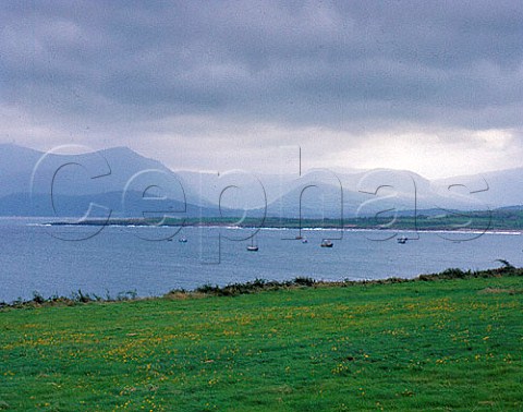View over Brandon Bay on the Dingle Peninsula  County Kerry Ireland