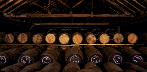 Casks of whiskey maturing in the atmospheric No7  warehouse of the Old Bushmills Distillery The larger  are old Sherry butts the others old Bourbon  Bushmills Co Antrim Northern Ireland