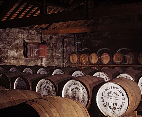 Casks of whiskey maturing in the atmospheric No7   warehouse of the Old Bushmills Distillery Bushmills   CoAntrim Northern Ireland