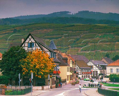 The wine town of Ribeauvill HautRhin France  Alsace