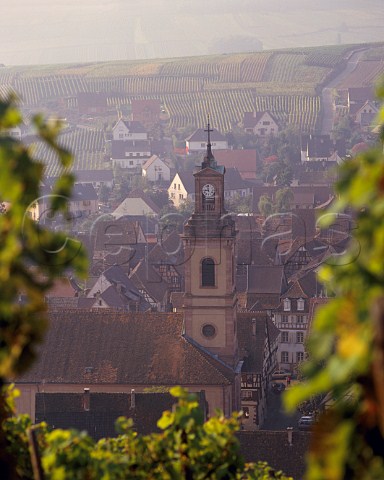 Riquewihr viewed from the Grand Cru Schoenenbourg   vineyard HautRhin France   Alsace
