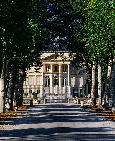 Chteau Margaux and its avenue of plane trees Margaux Gironde France Mdoc  Bordeaux