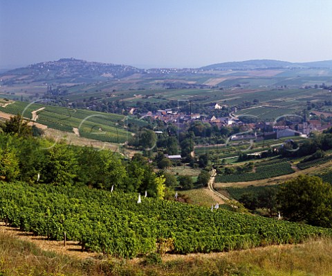 Vineyards around village of Chavignol with the   hilltop town of Sancerre in the distance   Cher France   Sancerre