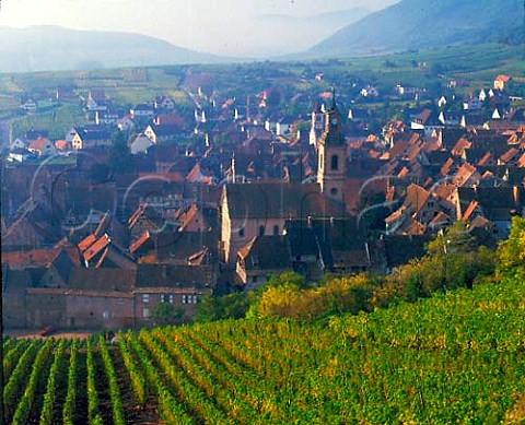 Riquewihr viewed from the Grand Cru Schoenenbourg   vineyard HautRhin France  Alsace