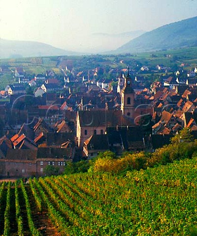 Riquewihr viewed from the Grand Cru Schoenenbourg   vineyard HautRhin France Alsace
