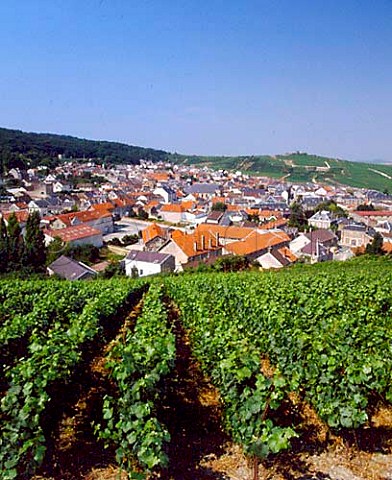 Verzenay on the Montagne de Reims Champagne
