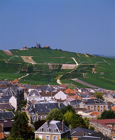 Windmill and vineyards above village of Verzenay  on the Montagne de Reims Marne France  Champagne