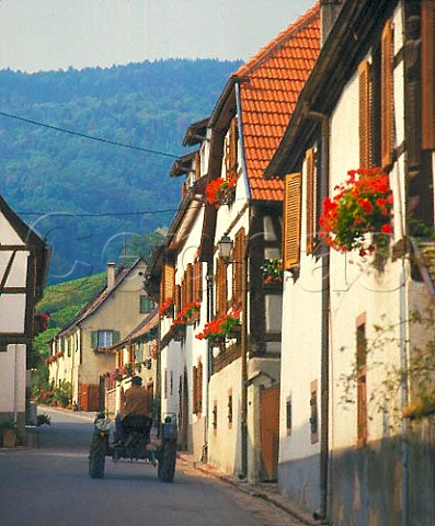 Street scene in the wine village of Hunawihr   HautRhin France Alsace