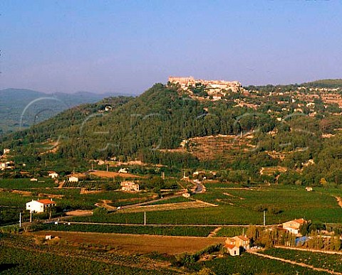 Vineyards around the hilltop village of   Le Castellet Var France   AC Bandol