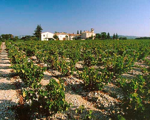 Grenache vineyard of Chteau la Couranconne at Viols Vaucluse France Ctes du Rhne