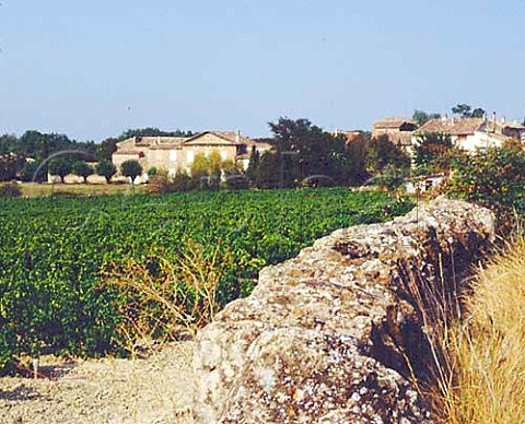 Vineyard of Domaine de Montine near Grignan Drome   Coteaux du Tricastin
