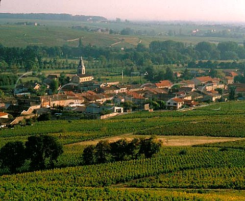 Cerci village viewed from the slopes of   Mont Brouilly Rhne France  Brouilly  Beaujolais