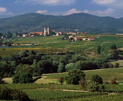 The village and twintowered church of Rgni  surrounded by its vineyards  Rhne France  Rgni  Beaujolais