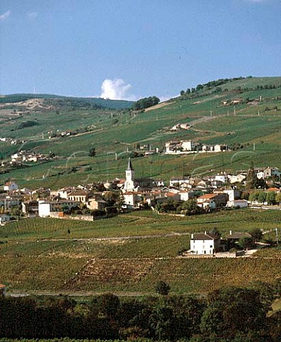 Village of Julinas surrounded by its vineyards   Rhne France   Julinas  Beaujolais