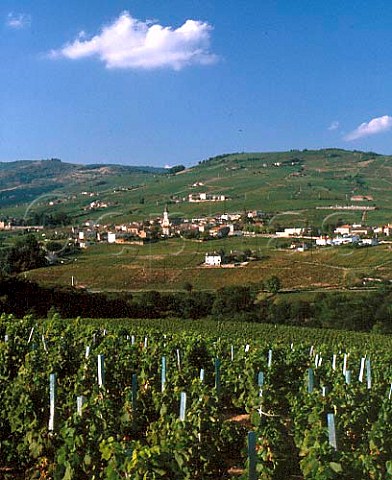 Village of Julinas surrounded by its vineyards  Rhne France    Julinas  Beaujolais