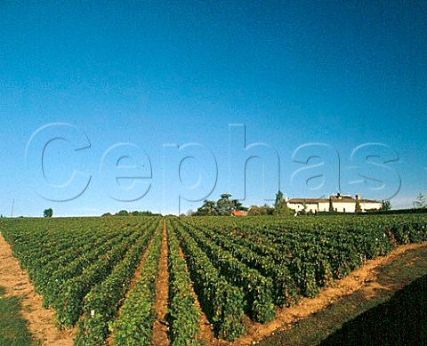 Domaine du Paradis viewed over its vineyard    StAmour SaneetLoire France   SaintAmour  Beaujolais