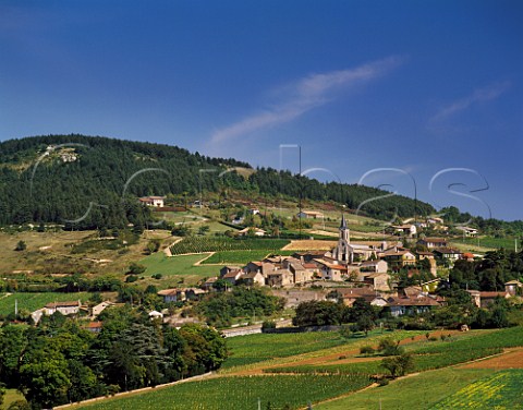 Vineyards around village of La Roche Vineuse SaneetLoire France  Mconnais