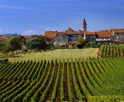 Village of Cless viewed over vineyard  SaneetLoire France  VirCless  Mconnais