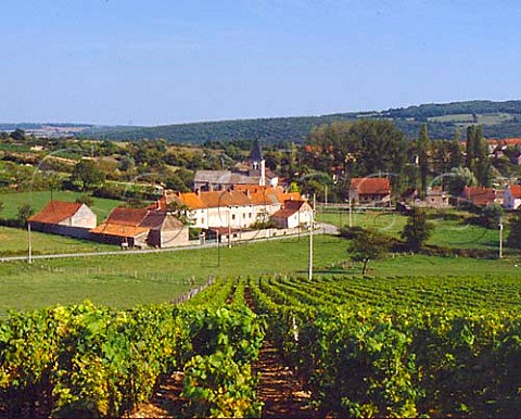 Vineyards at MartaillylsBrancion SaneetLoire   France   Maconnais
