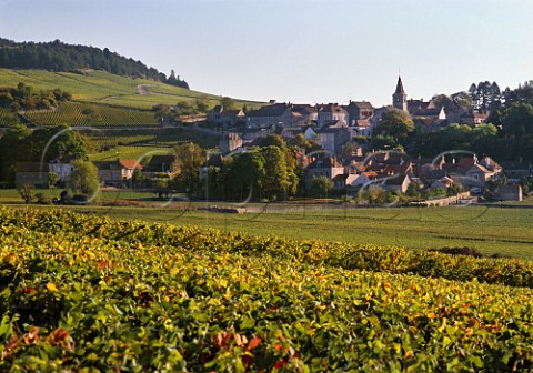 Village of Monthelie viewed from Les Duresses vineyard in AuxeyDuresses Cte dOr France   Cte de Beaune