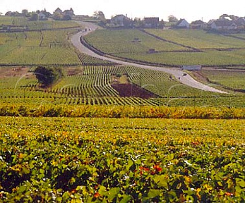 View over Les Duresses vineyard AuxeyDuresses   Cte dOr France     Cte de Beaune