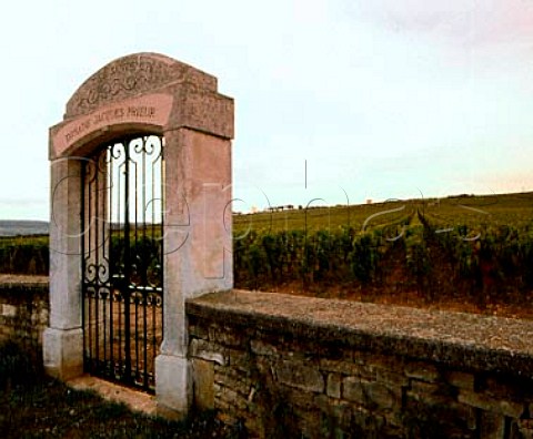 Entrance of Domaine Jacques Prieur in the wall of  Clos des Santenots vineyard Meursault Cte dOr  France    Cte de Beaune Premier Cru